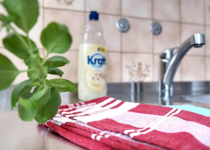 招待所 Speldorf 鲁尔河畔米尔海姆